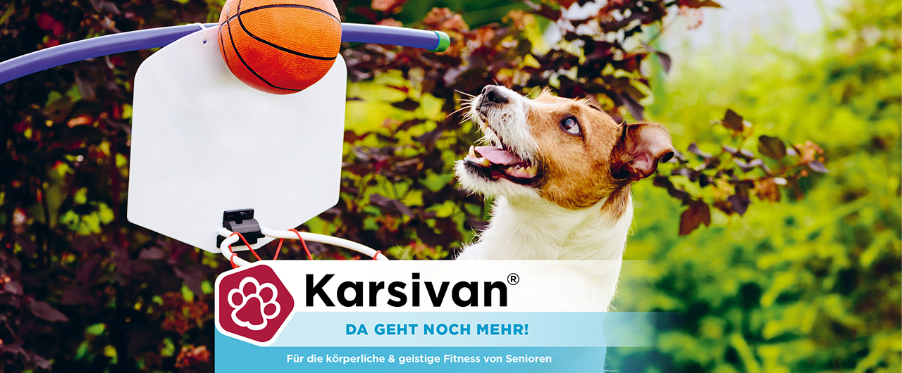 Karsivan® Alterserscheinungen beim Hund